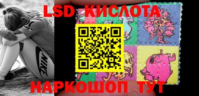 крисы Абакан