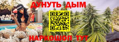 крисы Абакан