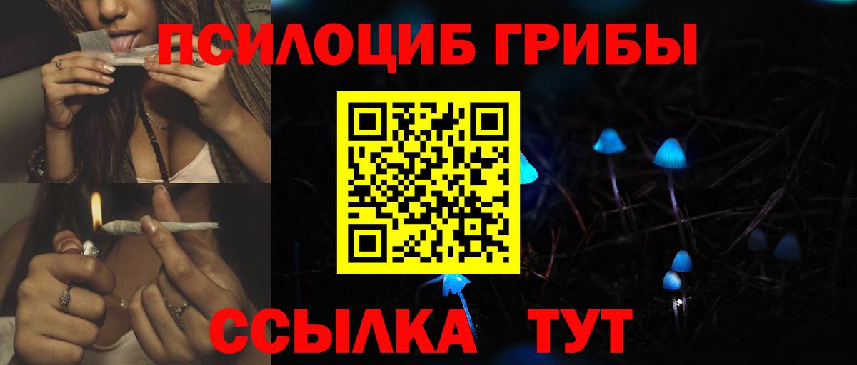 Псилоцибиновые грибы мицелий Россия