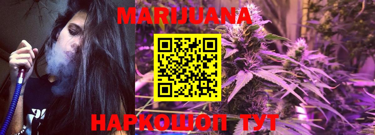 Каннабис SATIVA & INDICA Россия